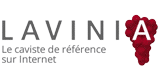 Lavinia Codes de réduction