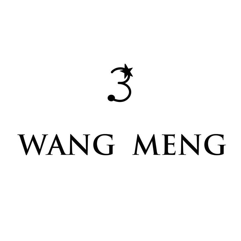 Wang Meng