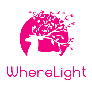 WhereLight Coupon Codes