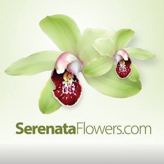 Serenata Flowers