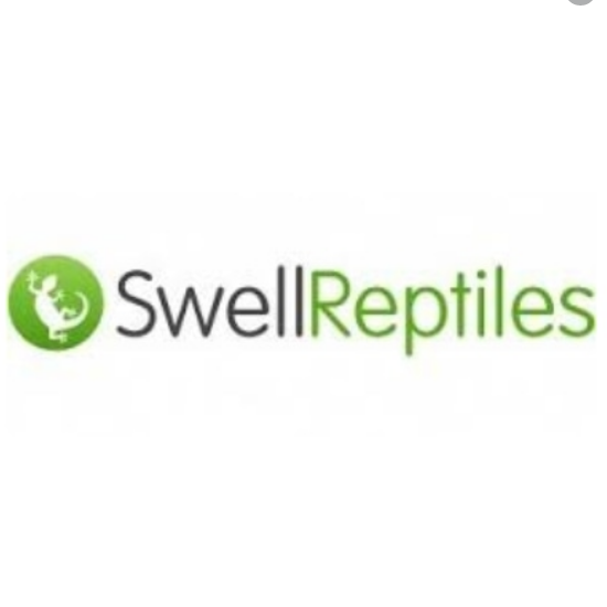 SwellReptiles